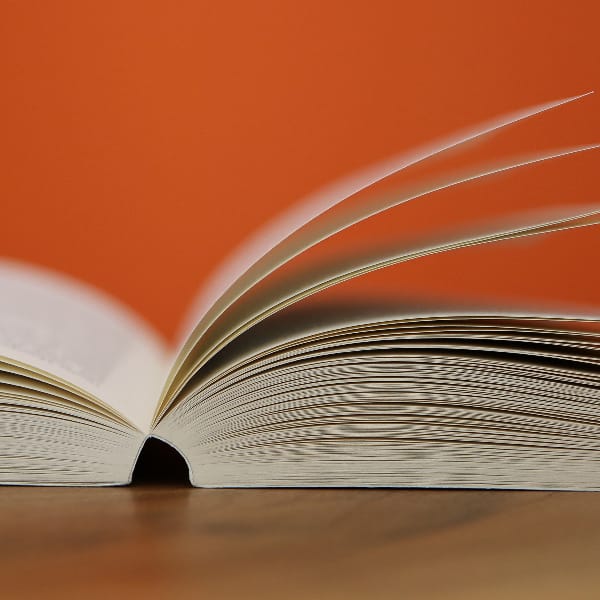  | BI 121: The Bible as Literature – 2025-2026